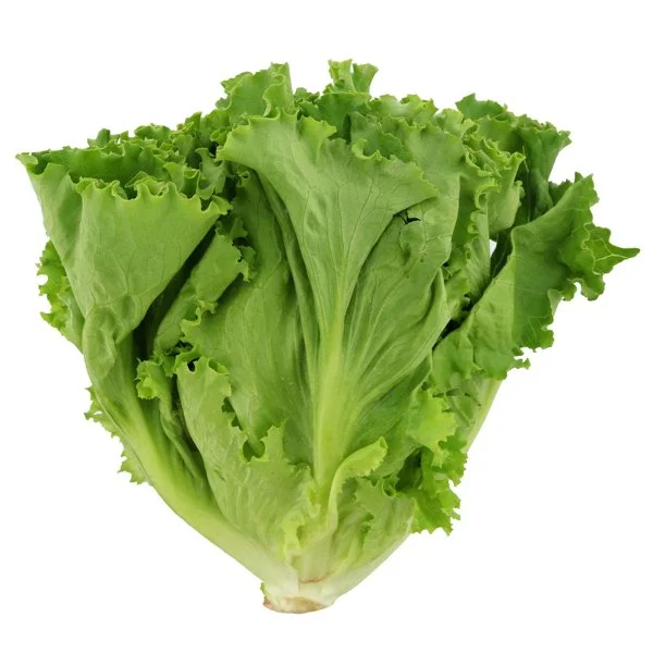 Fresh Green Leaf Lettuce, Each
