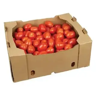 Roma Tomato Case