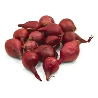 Pearl Onion