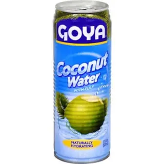GOYA Coconut Water, With Pulp, 17.6 Fl Oz, 1 Count — Single