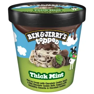 Ben & Jerry's Topped Ice Cream, Thick Mint