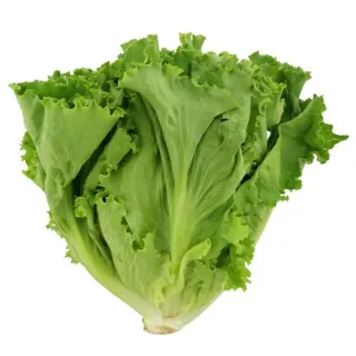 Fresh Green Leaf Lettuce, Each