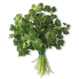 Fresh Cilantro, 1 Bunch