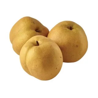 Fresh Asian Pear, Avg. 0.6 lb