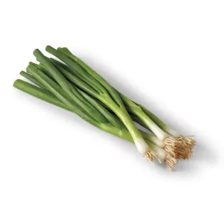 Fresh Organic Green Onions, Each