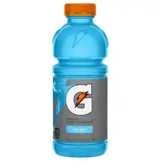 Gatorade Cool Blue Thirst Quencher Sports Drink Bottle (20 fl oz)